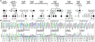 Clinical and Immunological Phenotype of Patients With Primary Immunodeficiency Due to Damaging Mutations in NFKB2